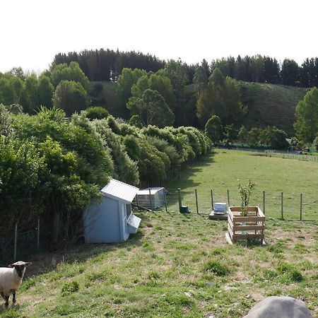 Aston Road Villa Bed & Breakfast Waikanae Exteriör bild